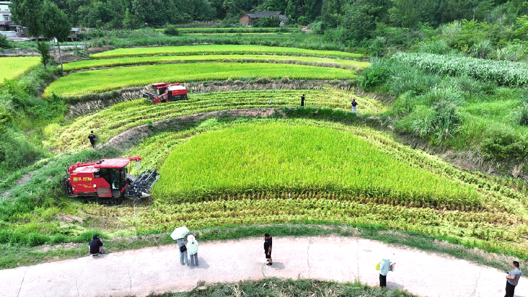 动图.gif